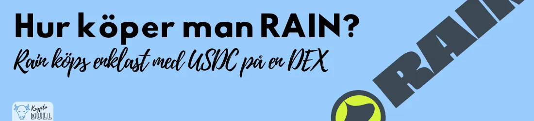 Rubriken ”Hur köper man RAIN? Rain köps enklast med USDC på en DEX”