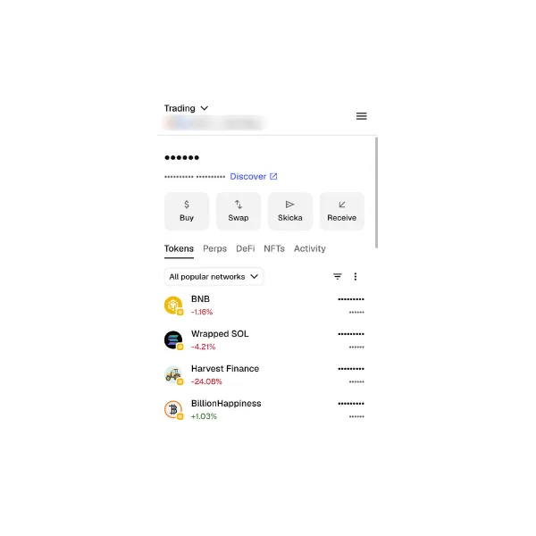 MetaMask-plånboken med tokens som BNB och Wrapped SOL