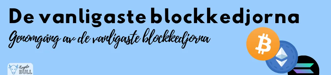 Logotyperna för Bitcoin, Ethereum och Solana med rubriken ”De vanligaste blockkedjorna”